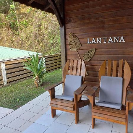Gites Les 3 Collines Le Gosier (Grande-Terre) Exterior foto