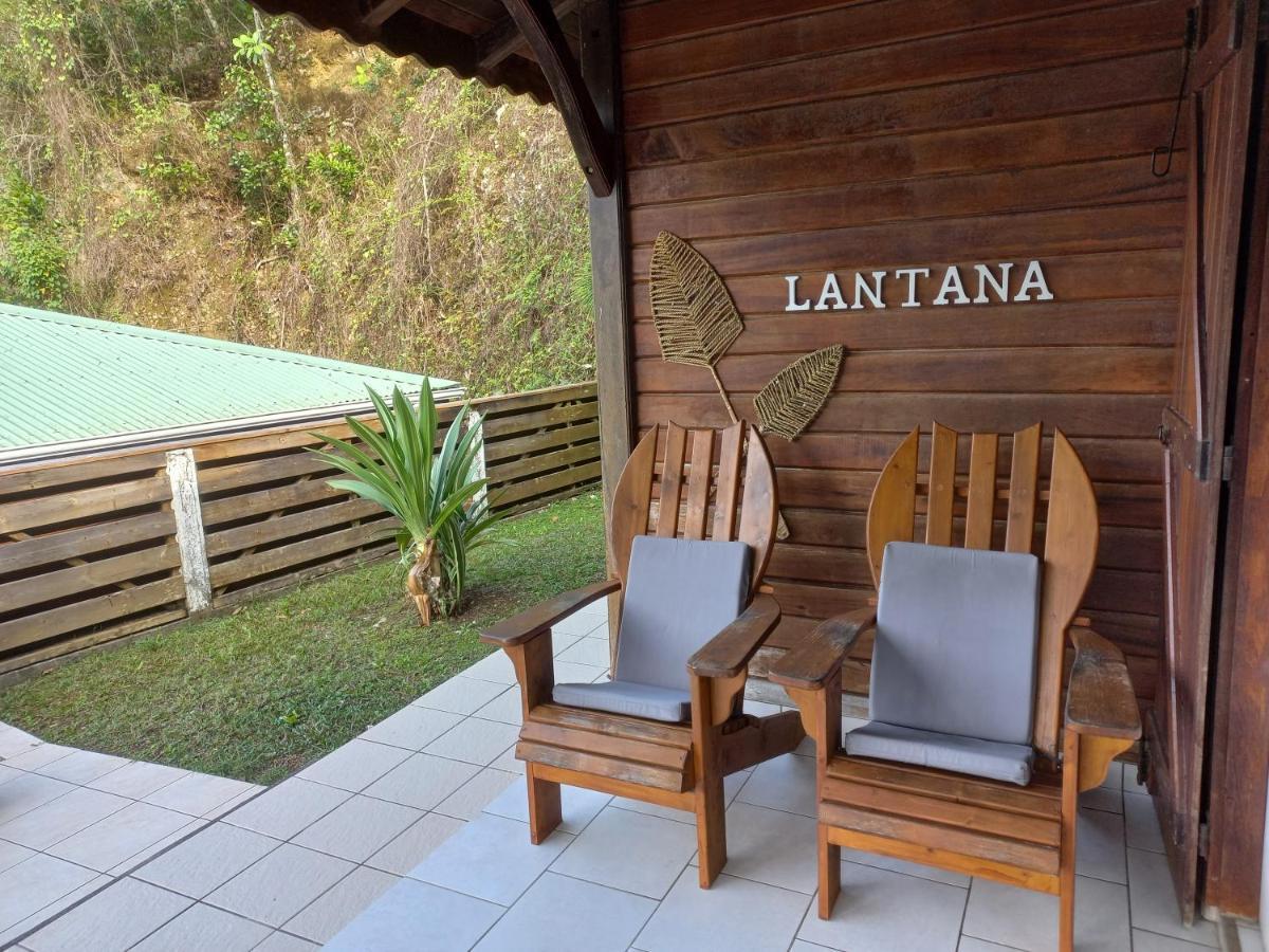 Gites Les 3 Collines Le Gosier (Grande-Terre) Exterior foto