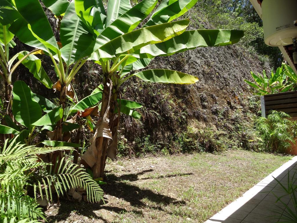 Gites Les 3 Collines Le Gosier (Grande-Terre) Exterior foto